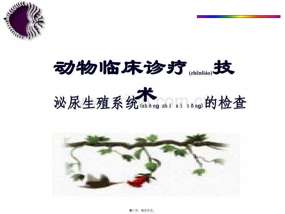 第六章---泌尿生殖系统的检查.ppt_第1页