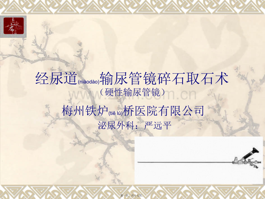 经尿道输尿管镜碎石取石术(严远平).ppt_第1页