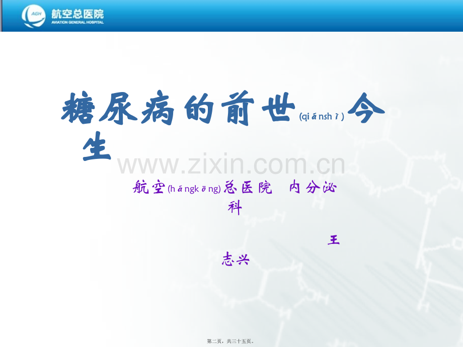 糖尿病的前世今生.ppt_第2页