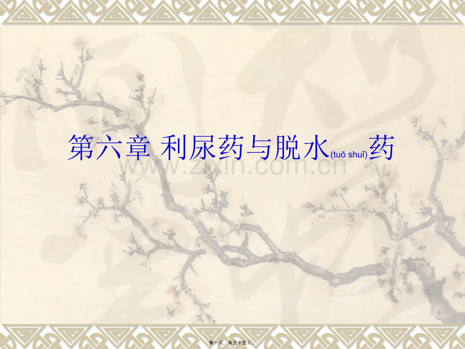 第六章-利尿药与脱水药.ppt_第1页