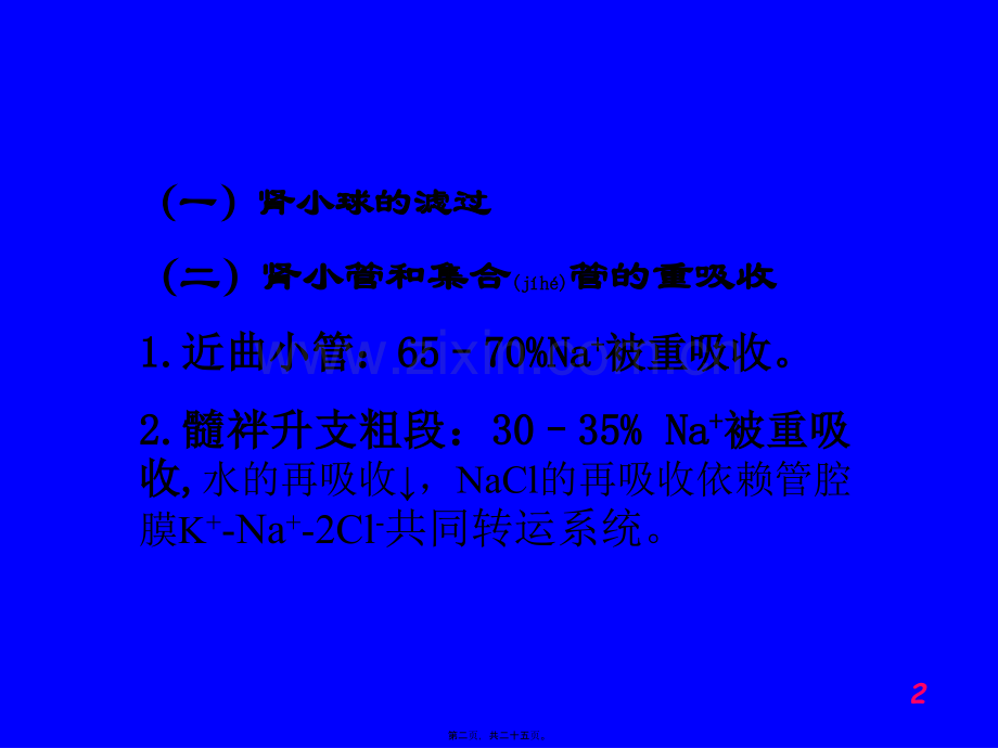 第二十二篇---利尿药及脱水药.ppt_第2页