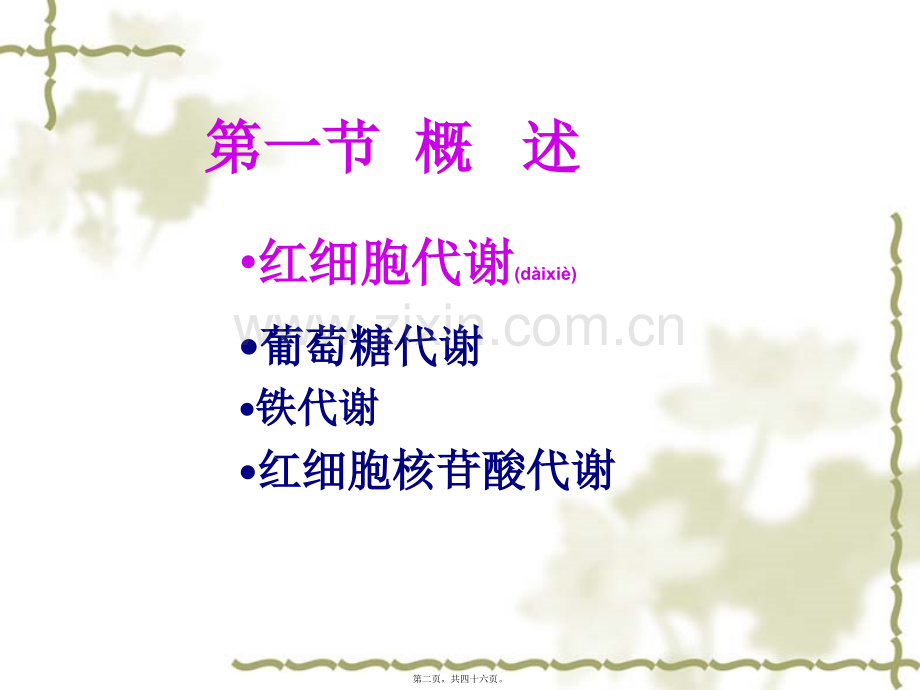 红细胞酶缺乏症.ppt_第2页