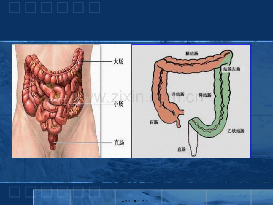 结直肠癌的免疫治.ppt_第2页