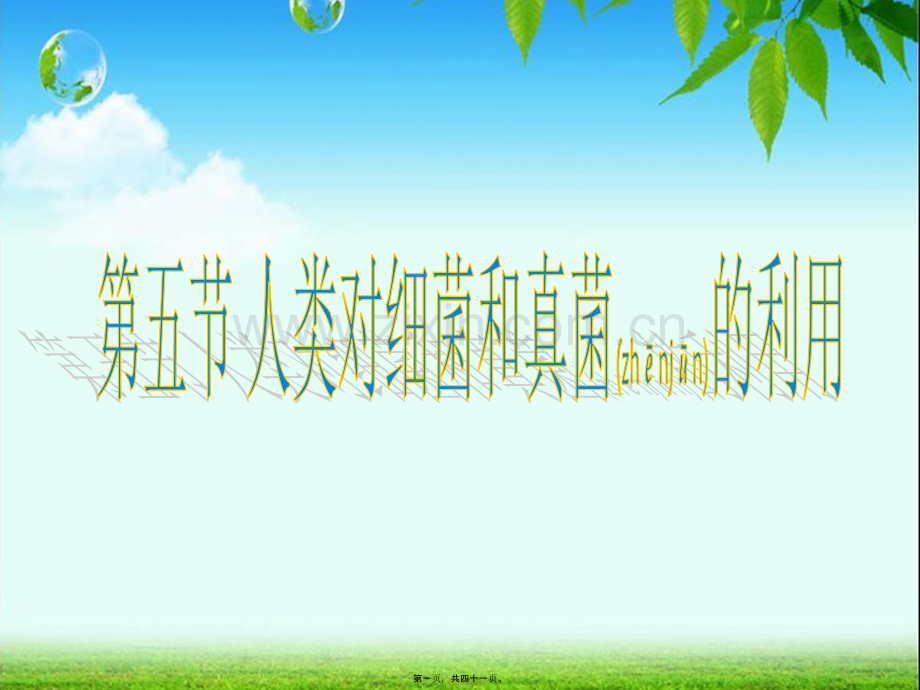 第五节-人类对细菌和真菌的利用(2018).ppt_第1页