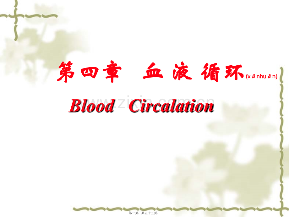 第四篇---血-液-循环.ppt_第1页
