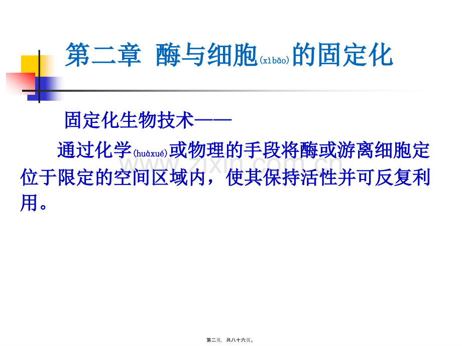 第二篇酶及细胞的固定化.ppt_第2页