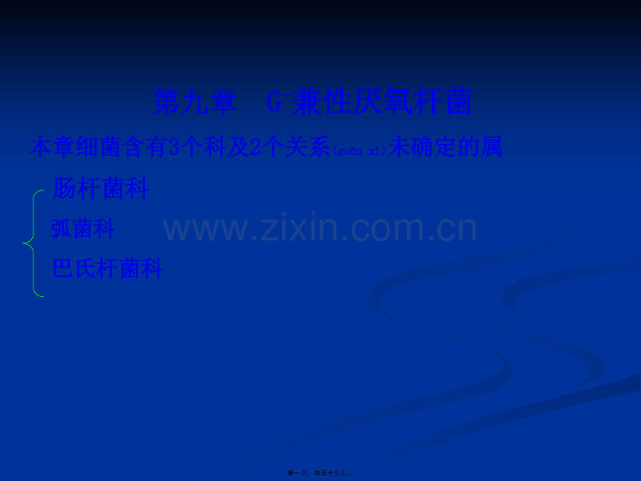 第九讲肠杆菌科.ppt_第1页