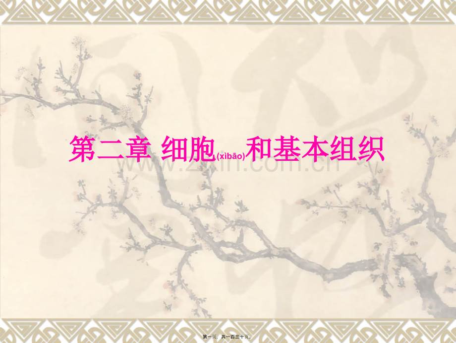 第二章-人体的基本生理功能-细胞和四大组织.ppt_第1页