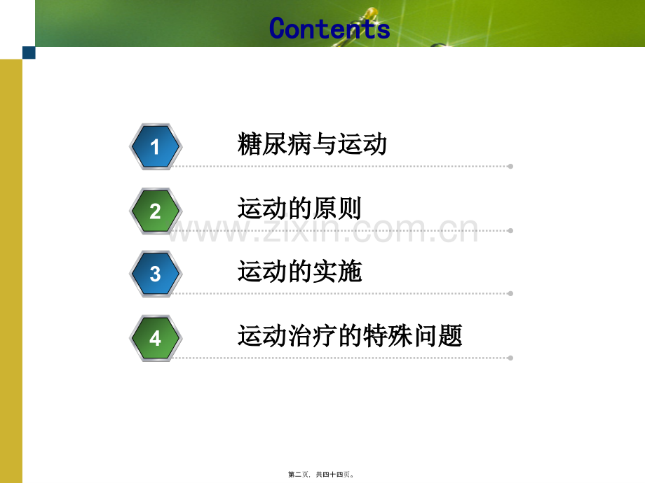 糖尿病与运动.ppt_第2页