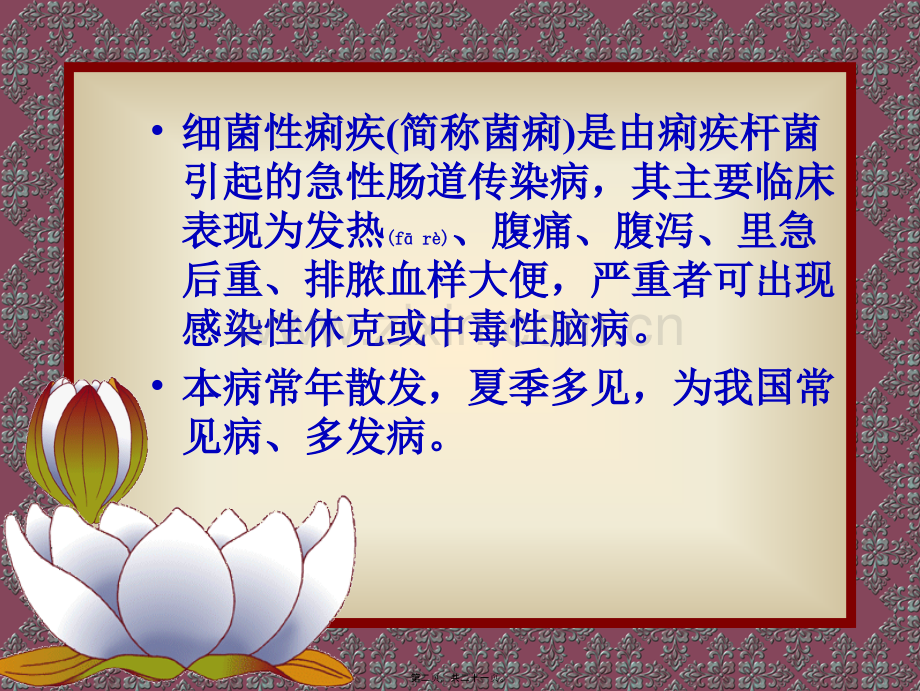 第二节细菌性痢疾.ppt_第2页