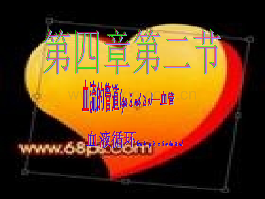 第二节血流的管道-血管新.ppt_第1页