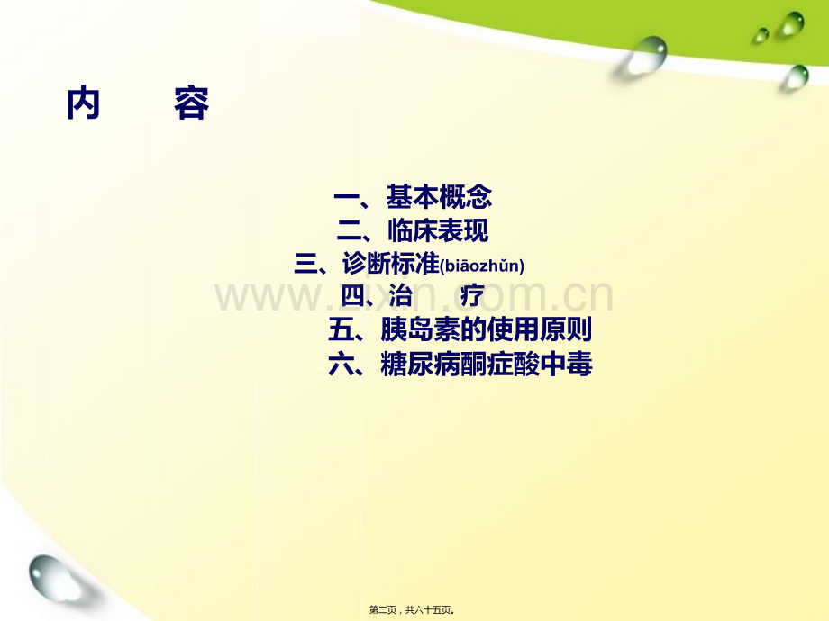 糖尿病诊疗规范.ppt_第2页