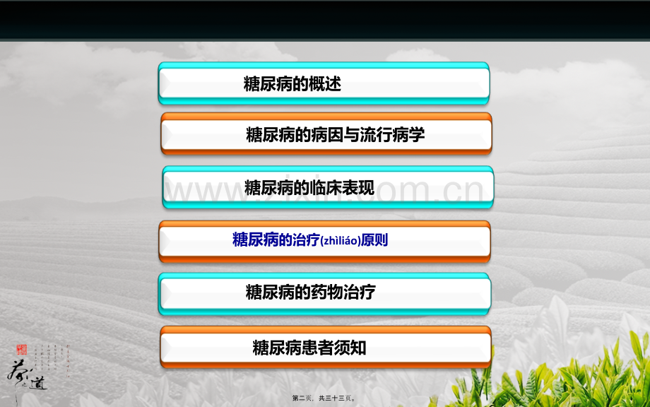 糖尿病与合理用药.ppt_第2页