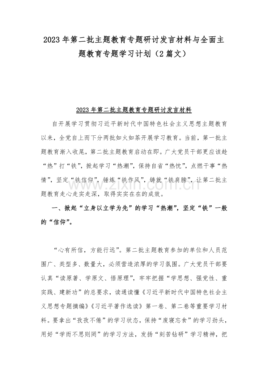 2023年第二批主题教育专题研讨发言材料与全面主题教育专题学习计划（2篇文）.docx_第1页
