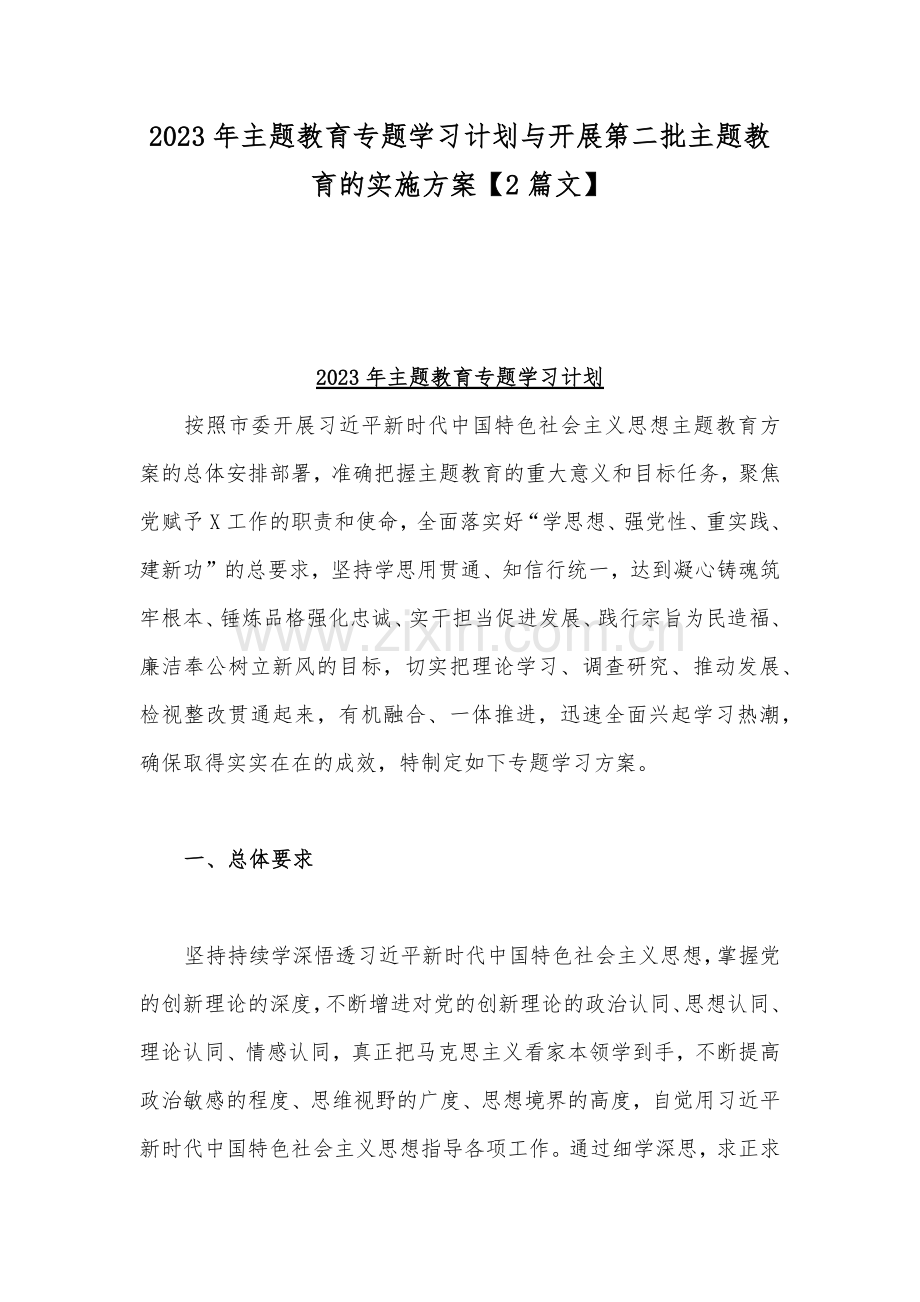 2023年主题教育专题学习计划与开展第二批主题教育的实施方案【2篇文】.docx_第1页
