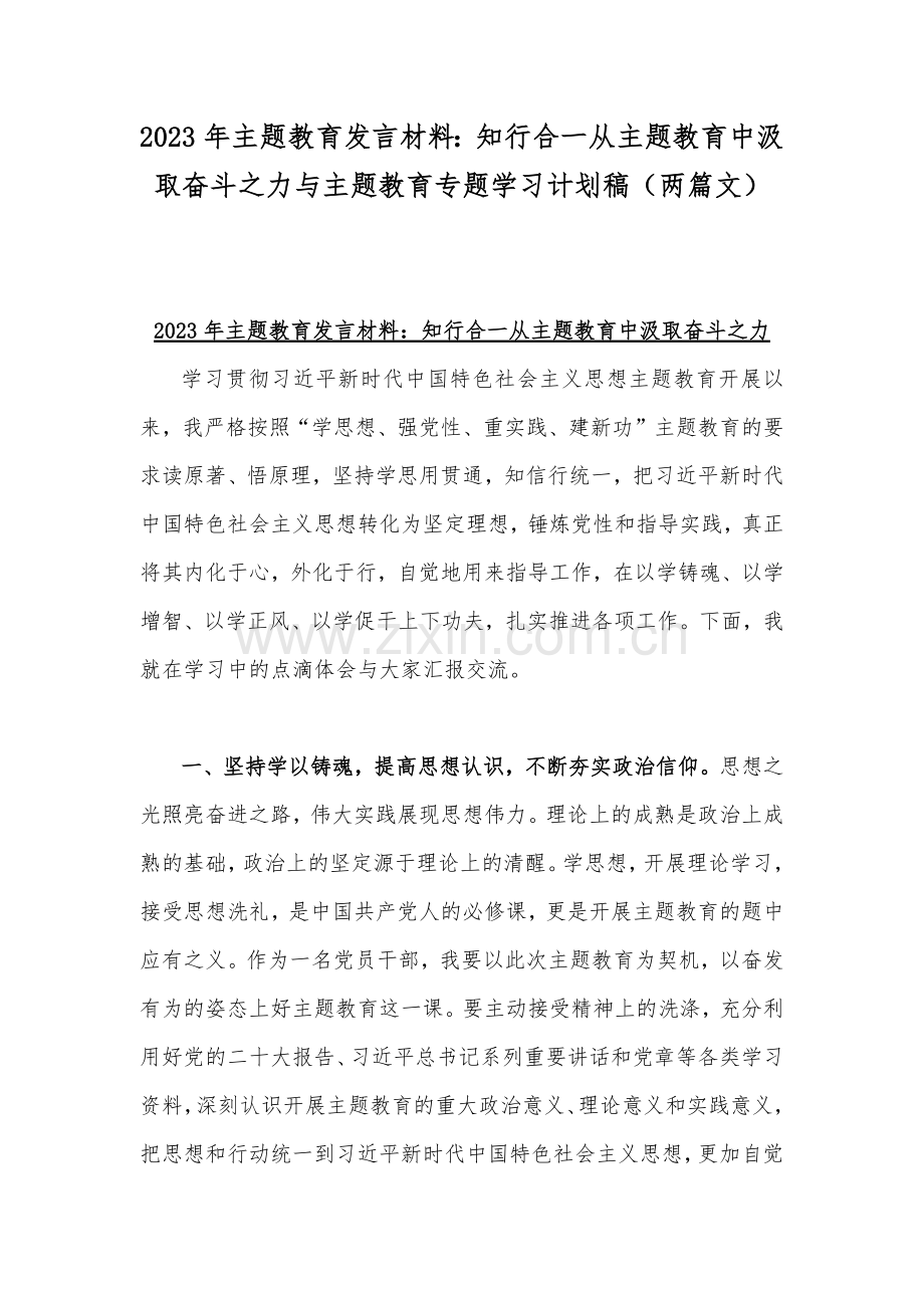 2023年主题教育发言材料：知行合一从主题教育中汲取奋斗之力与主题教育专题学习计划稿（两篇文）.docx_第1页