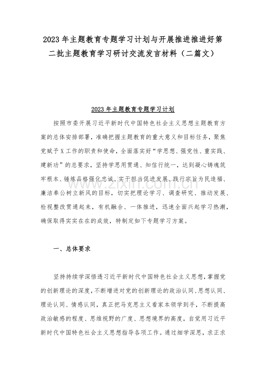 2023年主题教育专题学习计划与开展推进推进好第二批主题教育学习研讨交流发言材料（二篇文）.docx_第1页