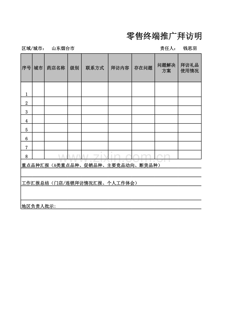 推广明细表模板.xls_第1页