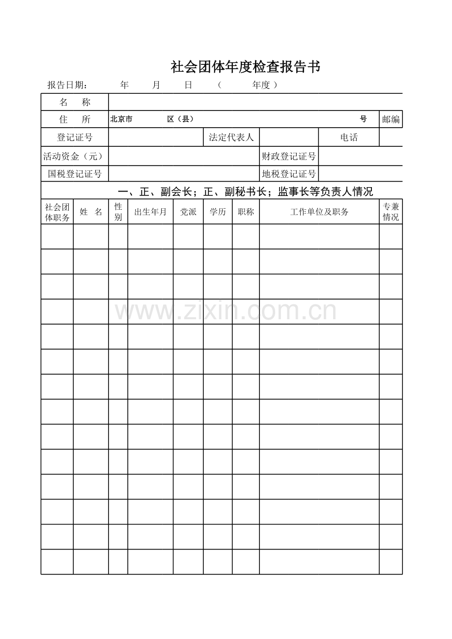 社会团体年度检查报告书模板.xls_第1页