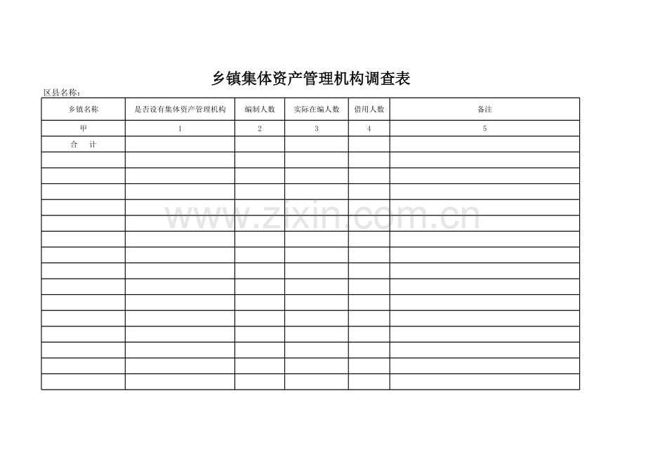 乡镇集体资产管理机构调查表模板.xls_第1页