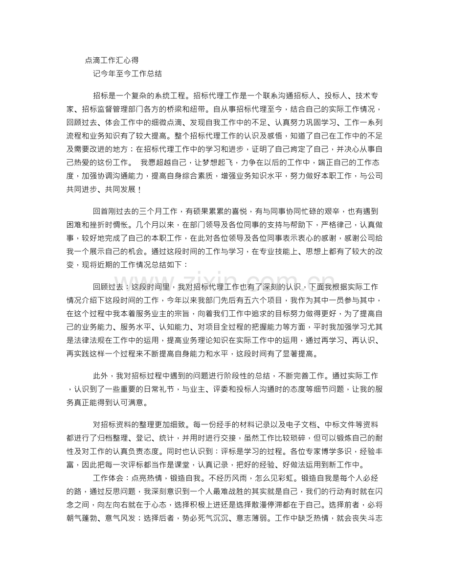 招标代理年终总结.doc_第1页