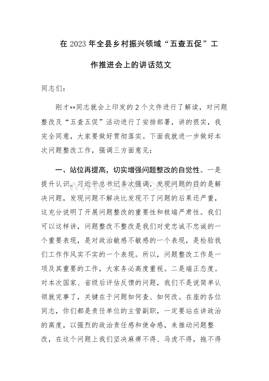 在2023年全县乡村振兴领域“五查五促”工作推进会上的讲话范文.docx_第1页