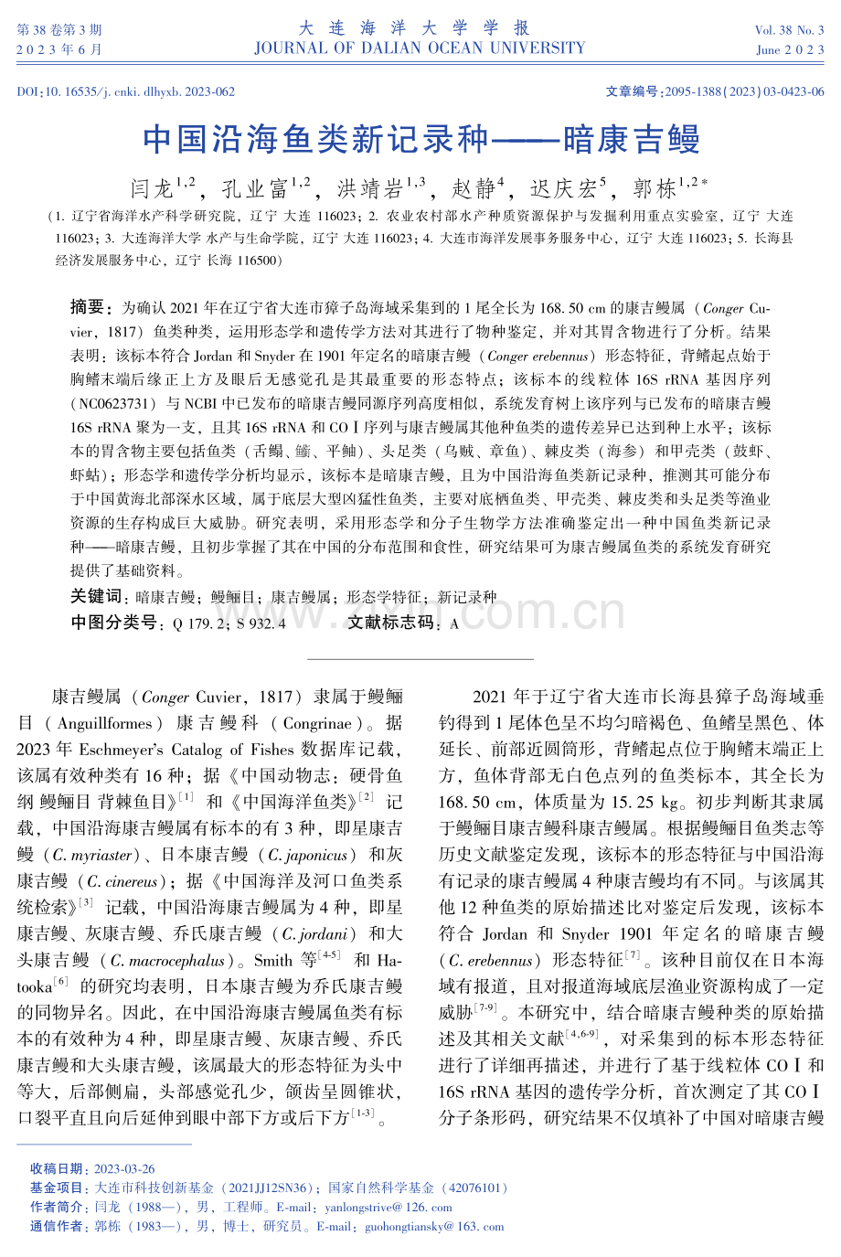 中国沿海鱼类新记录种——暗康吉鳗.pdf_第1页