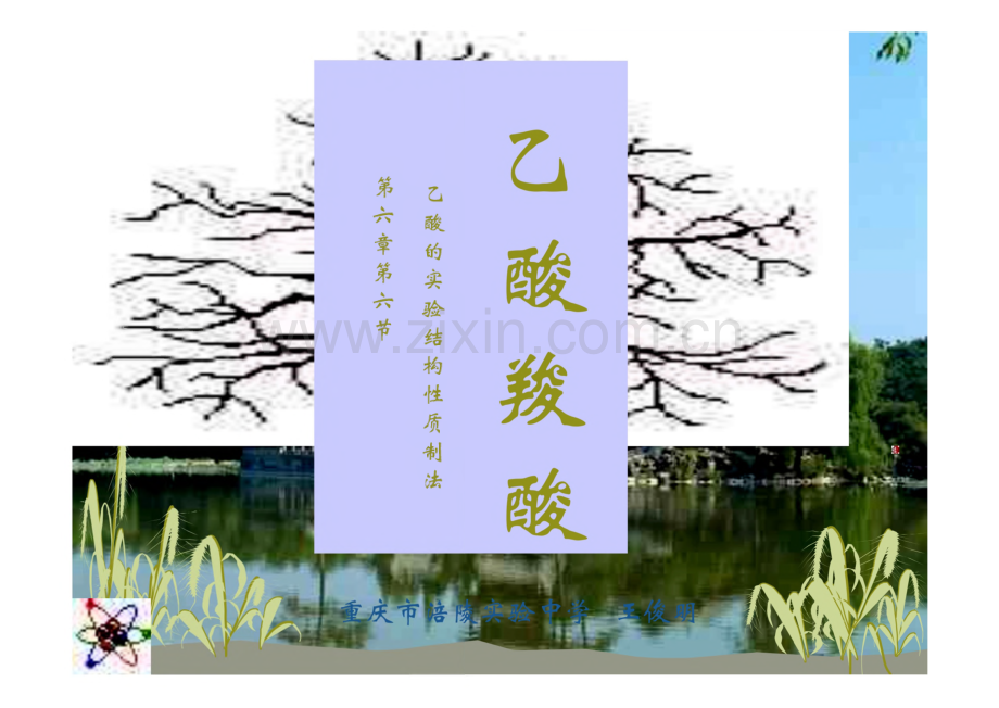高二化学 第六节乙酸和羧酸.pdf_第1页