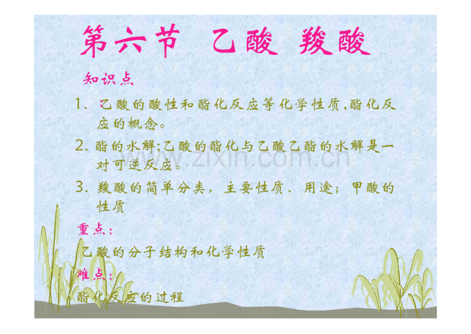 高二化学 第六节乙酸和羧酸.pdf_第2页