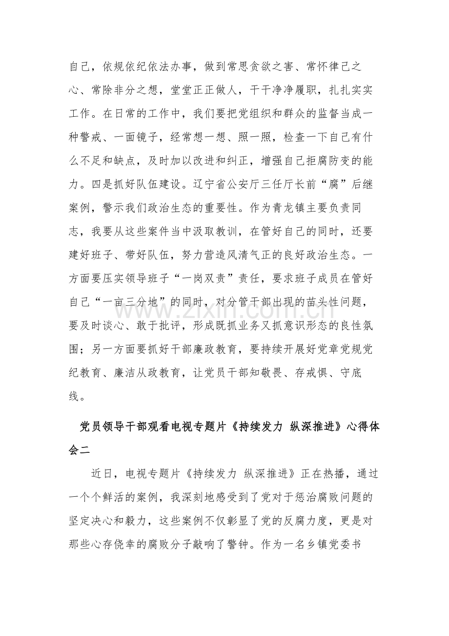 2024党员领导干部观看《持续发力 纵深推进》心得体会十篇.docx_第2页