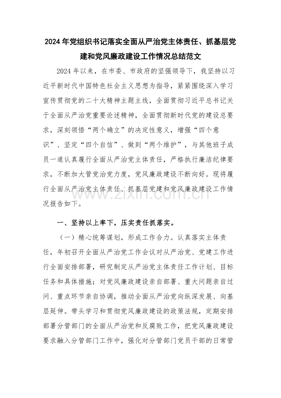 2024年党组织书记落实全面从严治党主体责任、抓基层党建和党风廉政建设工作情况总结范文.docx_第1页