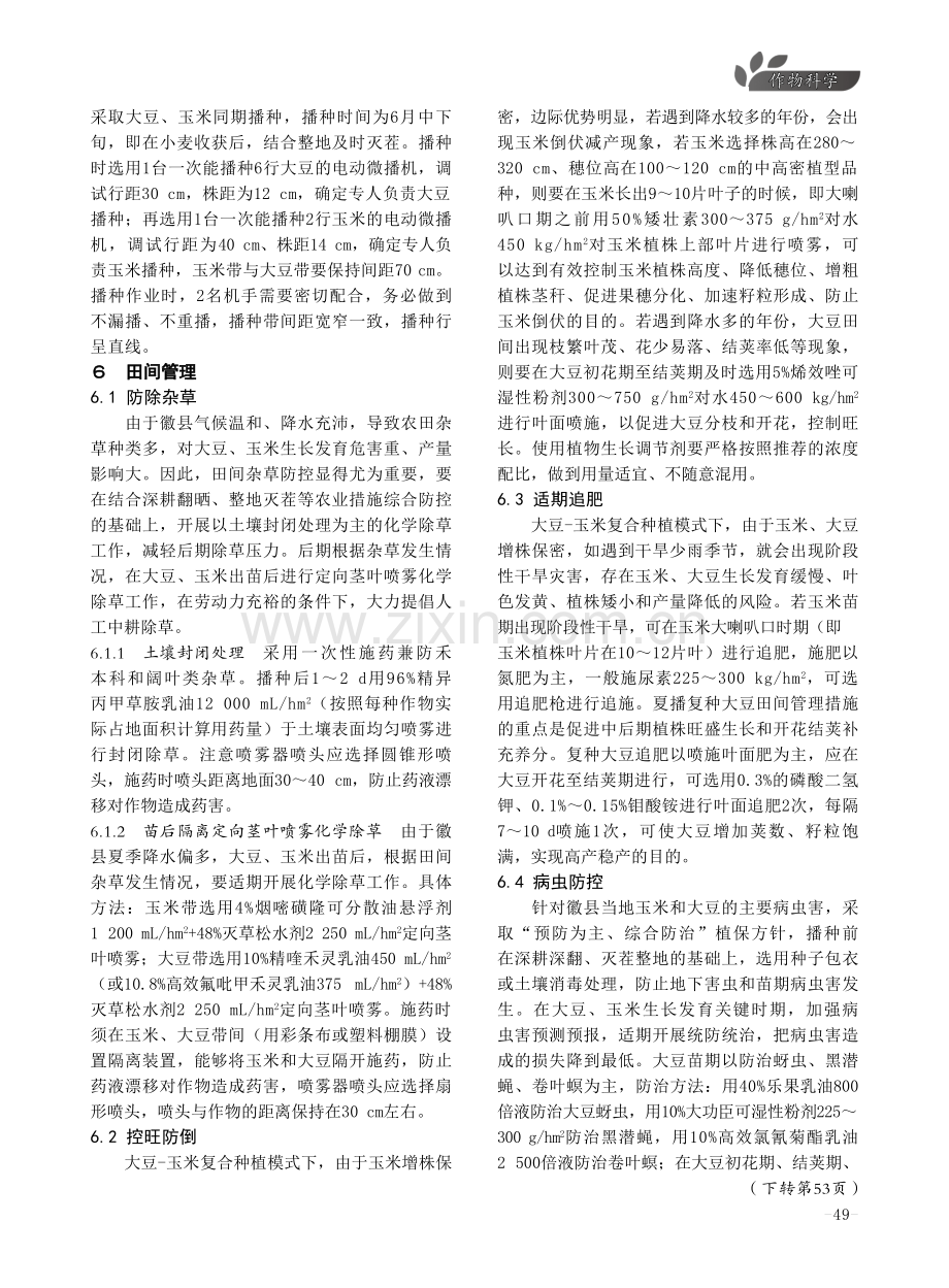 徽县大豆-玉米带状复合种植技术规范.pdf_第3页