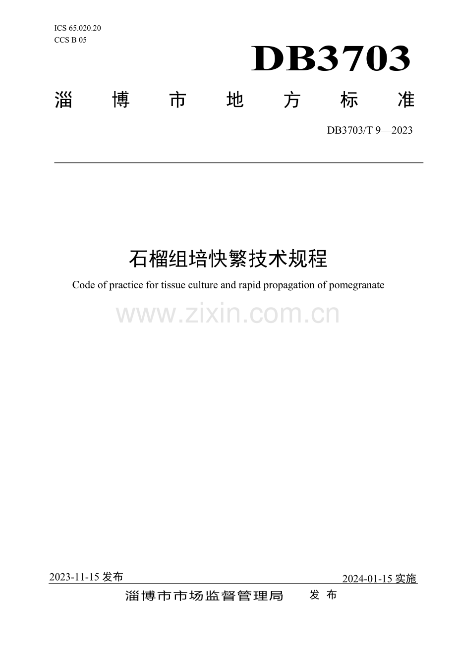 DB3703∕T 9-2023 石榴组培快繁技术规程(淄博市).pdf_第1页