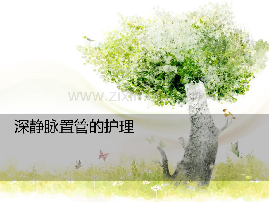深静脉置管护理PPT课件.ppt_第1页