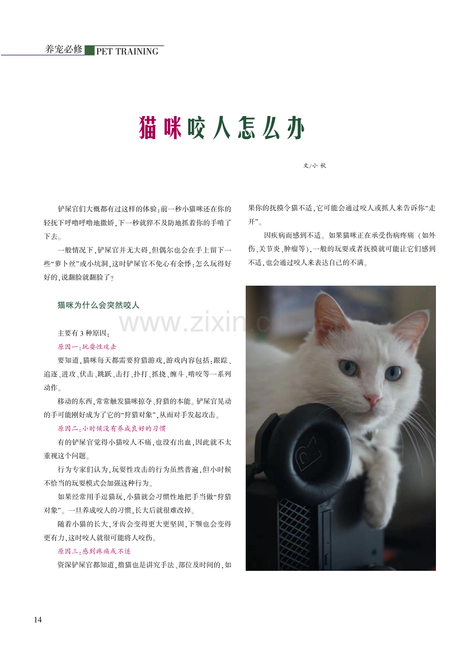 猫咪咬人怎么办.pdf_第1页