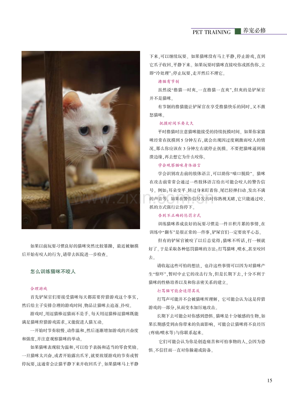 猫咪咬人怎么办.pdf_第2页