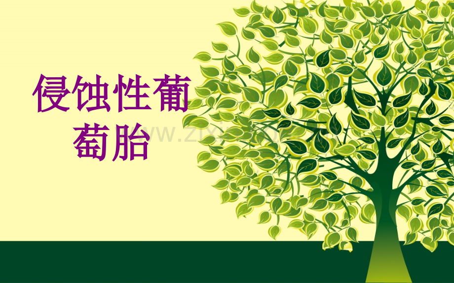 侵蚀性葡萄胎ppt培训课件.ppt_第1页