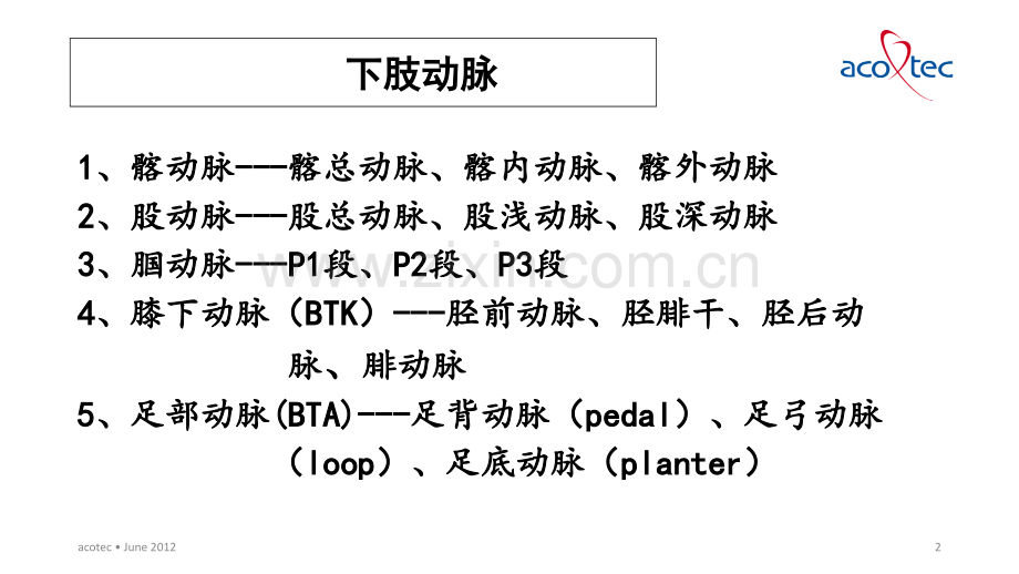 下肢动脉介入手术常用器械讲义.ppt_第2页