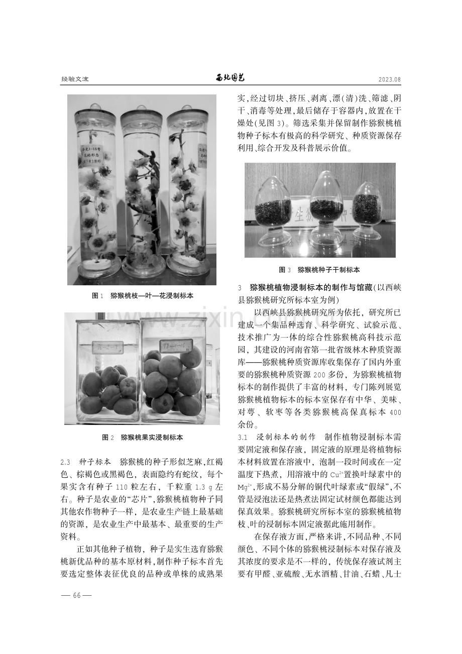 猕猴桃植物标本的制作与保存.pdf_第3页