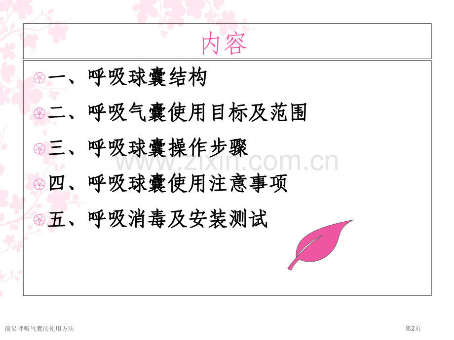 简易呼吸气囊的使用方法.pptx_第2页