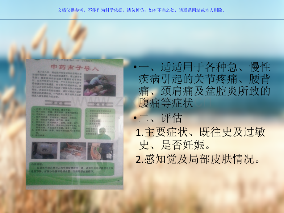 中药离子导入技术课件.ppt_第2页