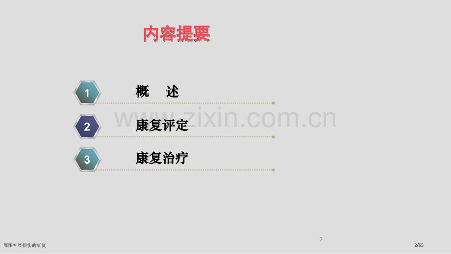 周围神经损伤的康复.pptx_第2页