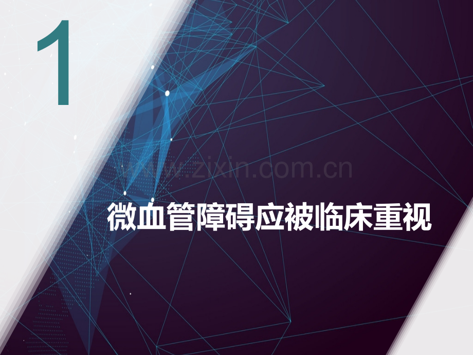 大会PPT冠脉微循环障碍PPT优质课件.pptx_第2页