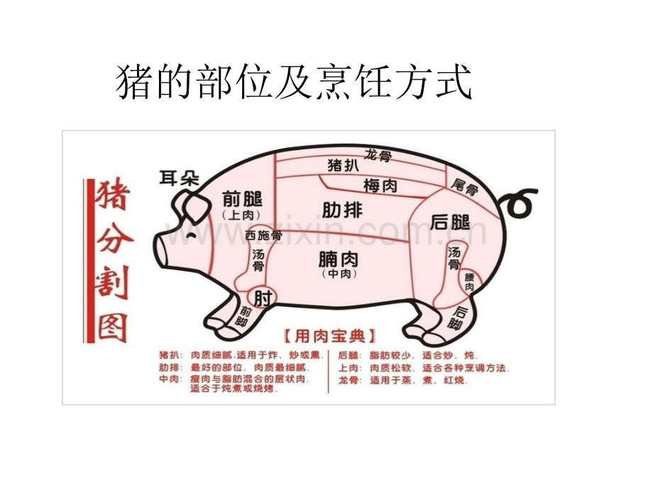 猪肉产品部位肉介绍专题培训课件.ppt_第2页