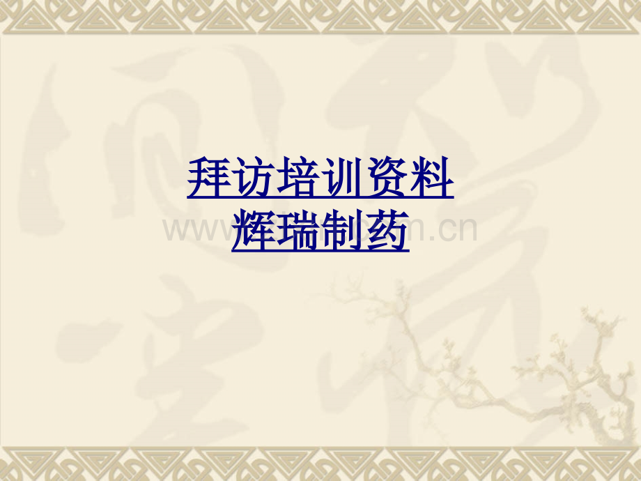 拜访培训资料辉瑞制药讲义.ppt_第1页