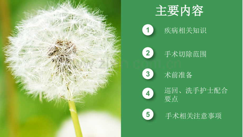 (完整PPT)腹腔镜下广泛全子宫切除加盆腔淋巴结清扫术.ppt_第2页