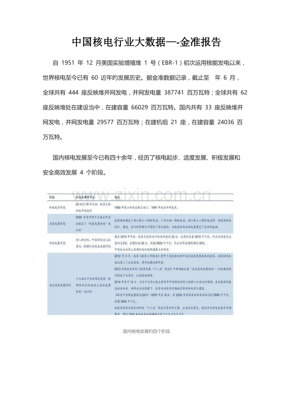 中国核电行业大数据金准报告.docx_第1页