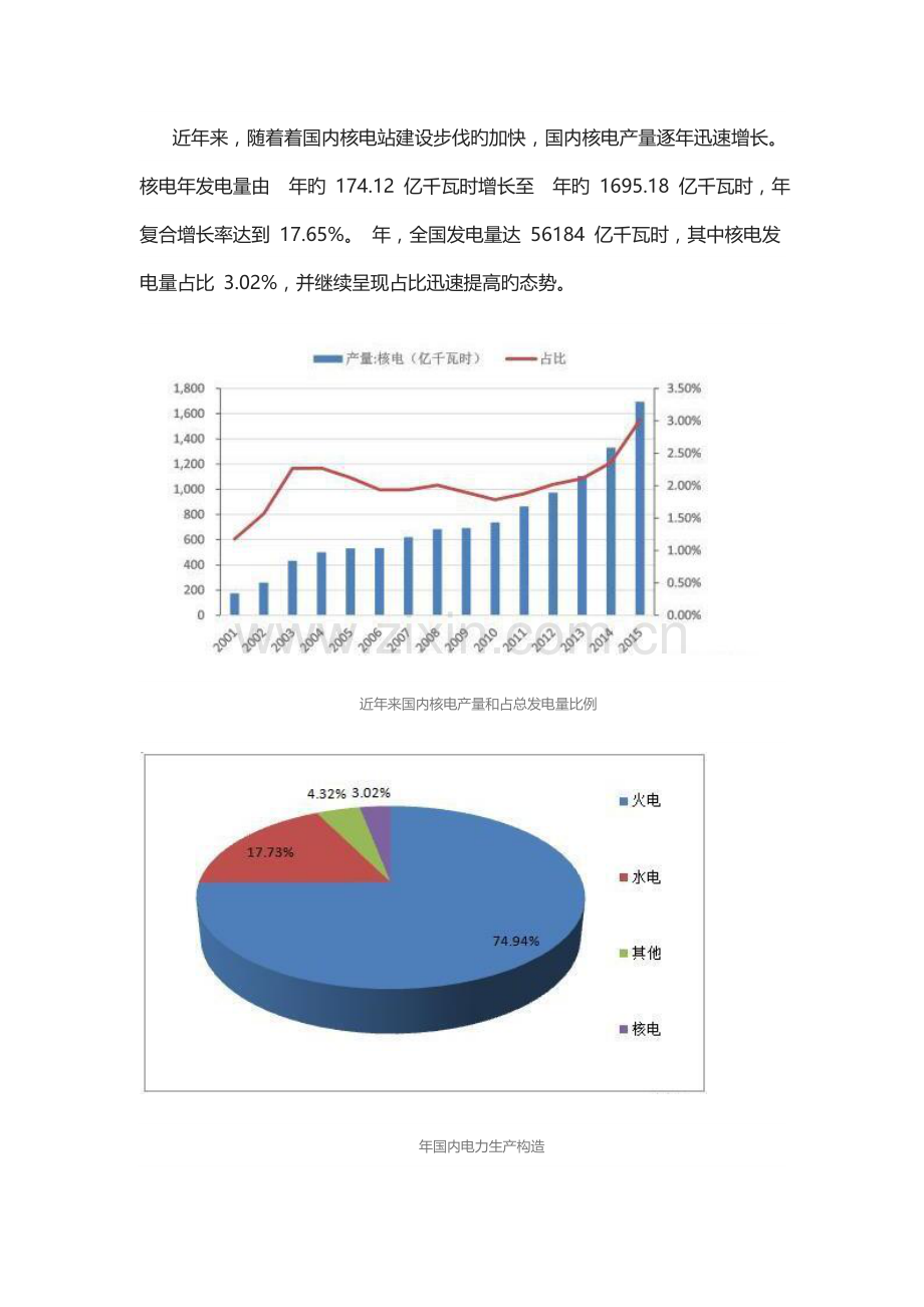 中国核电行业大数据金准报告.docx_第2页