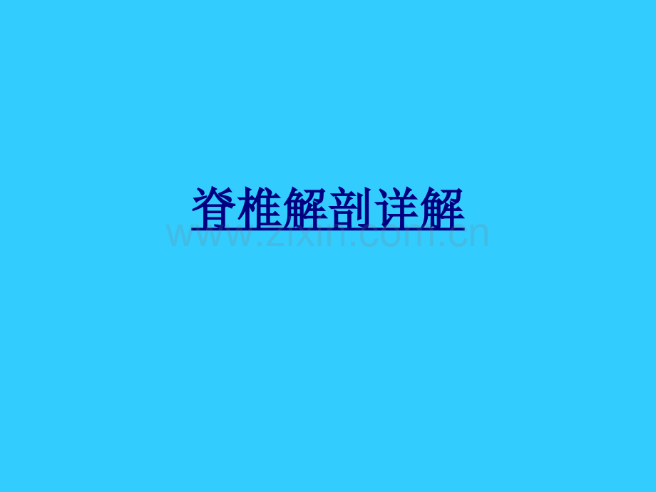脊椎解剖详解讲义.ppt_第1页