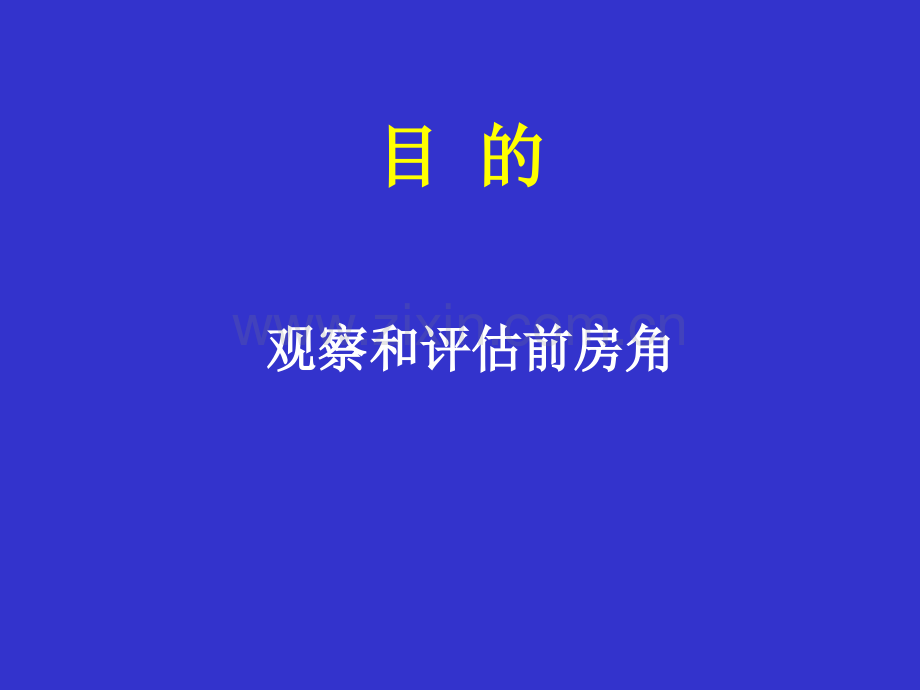 前房角镜检查讲义.ppt_第2页